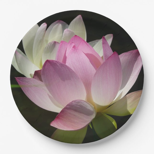 Paar der Lotus-Blume II Pappteller (Vorderseite)
