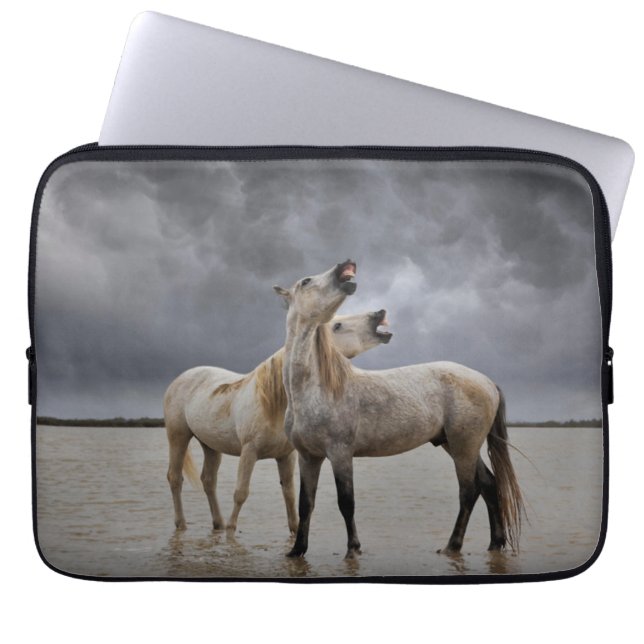 Paar der Pferdeställe von Camargue, Südfrankreich Laptopschutzhülle (Vorderseite)