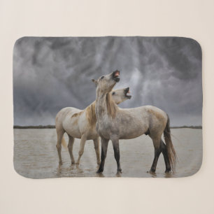 Paar der Pferdeställe von Camargue, Südfrankreich Sherpadecke