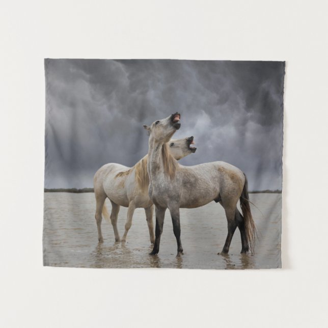 Paar der Pferdeställe von Camargue, Südfrankreich Wandteppich (Vorderseite (Horizontal))