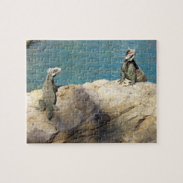 Paar der tropischen Naturfotografie von Iguanas (Horizontal)
