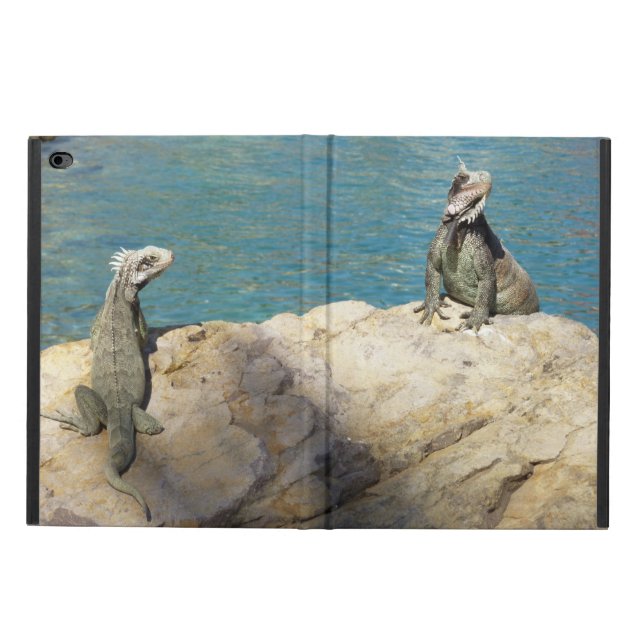 Paar der tropischen Naturfotografie von Iguanas (Außenansicht)