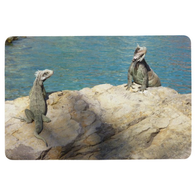 Paar der tropischen Naturfotografie von Iguanas Bodenmatte (Vorderseite)