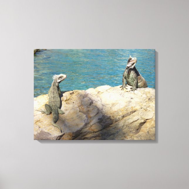 Paar der tropischen Naturfotografie von Iguanas Leinwanddruck (Vorderseite)