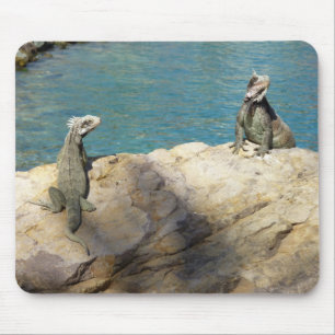 Paar der tropischen Naturfotografie von Iguanas Mousepad