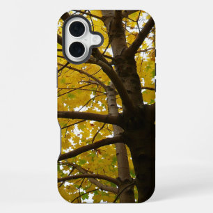 Paar gelber Ahornbäume Herbst Natur iPhone Hülle