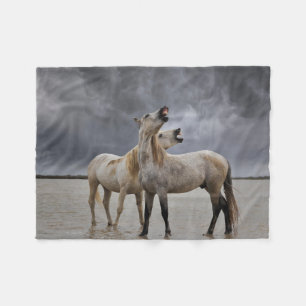 Paar Hengste des Camargue-Pferdes, Südfrankreich Fleecedecke