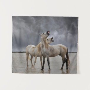 Paar Hengste des Camargue-Pferdes, Südfrankreich Wandteppich