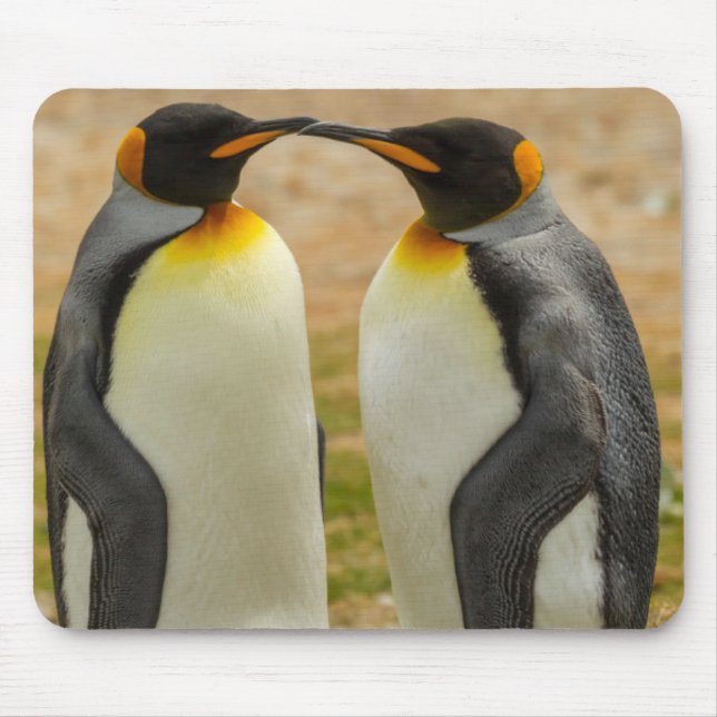 Paar König Pinguine, Falklands Mousepad (Vorne)