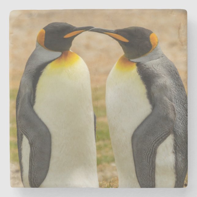 Paar König Pinguine, Falklands Steinuntersetzer (Vorderseite)