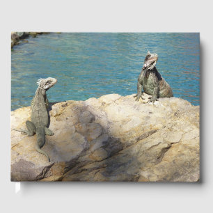 Paar Leguane Tropische Tierfotografie Gästebuch