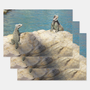 Paar Leguane Tropische Tierfotografie Geschenkpapier Set