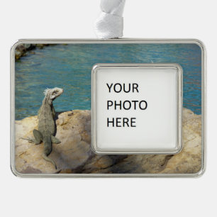 Paar Leguane Tropische Tierfotografie Rahmen-Ornament Silber