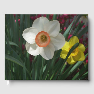 Paar Narzissen Rosa und Gelbe Frühlingsblumen Gästebuch