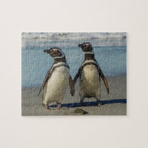Paar Pinguine am Strand