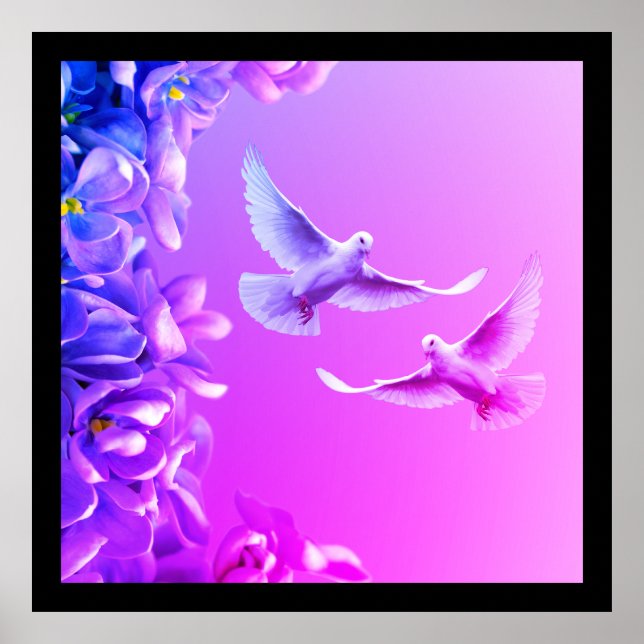 Paar schöne weiße Doves Poster (Vorne)