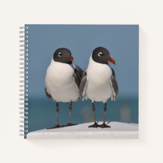 Paar schwarz gehauchter Golle Notizbuch