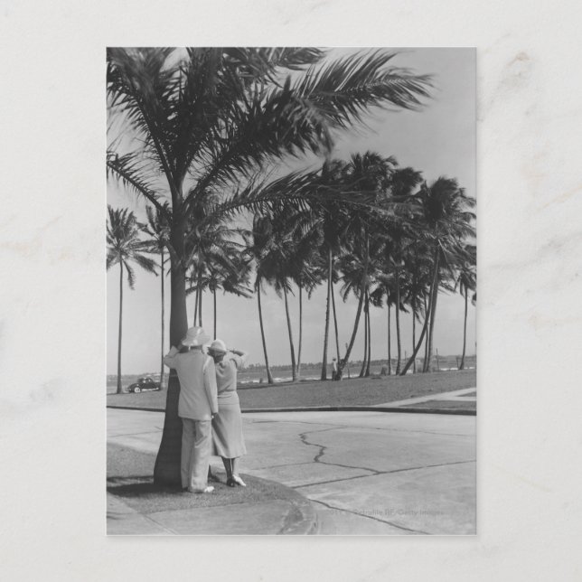 Paar stehend an Palme Rückansicht B&W Postkarte (Vorderseite)