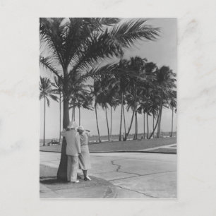 Paar stehend an Palme Rückansicht B&W Postkarte