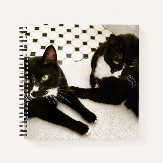 Paar Tuxedo Cats Spiralheft Notizbuch (Vorderseite)