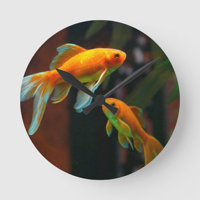 Paar von Lucky Goldfish Runde Wanduhr (Vorderseite)