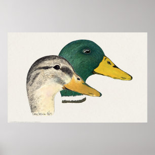 Paar von Mallard Enten (Drake und Hen) Poster