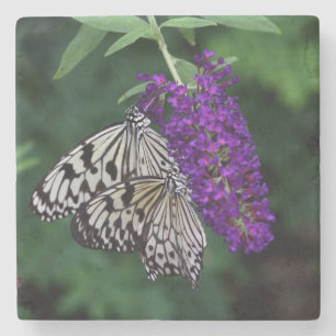 Paar von Papier Kite Butterflies Steinuntersetzer