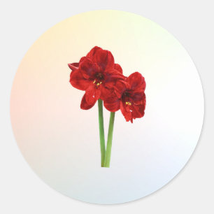 Paar von Red Amaryllis Runder Aufkleber