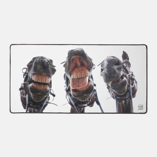 Paarden in de mond gekeken. 3 paarden lachend. schreibtischunterlage (Vorderseite)