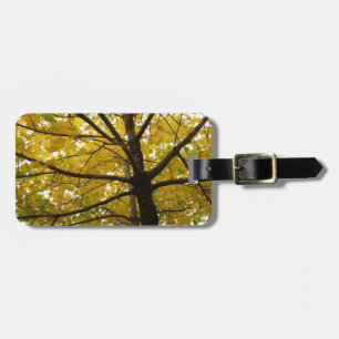 Paare der gelben Ahornbäume Herbstnatur Gepäckanhänger