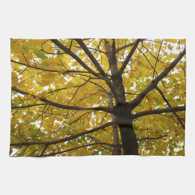 Paare der gelben Ahornbäume Herbstnatur Geschirrtuch (Horizontal)