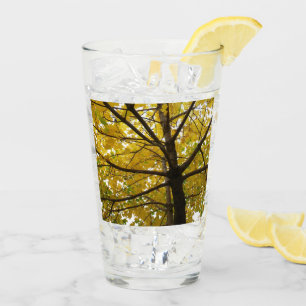 Paare der gelben Ahornbäume Herbstnatur Glas