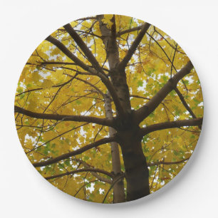 Paare der gelben Ahornbäume Herbstnatur Pappteller