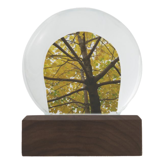 Paare der gelben Ahornbäume Herbstnatur Schneekugel (Vorderseite)