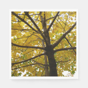 Paare der gelben Ahornbäume Herbstnatur Serviette