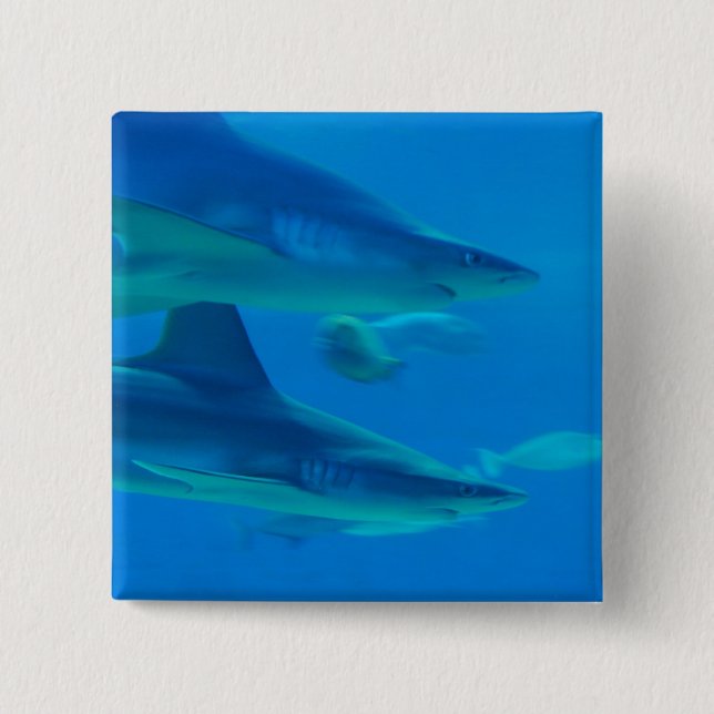 Paare des Haifisch-Knopfes Button (Vorderseite)