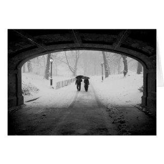 Paare im Schneesturm, Central Park
