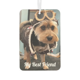 Paare in unserem Hearts Foto Pet Memorial,Custom Autolufterfrischer