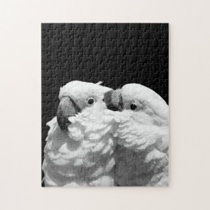 Paare Regenschirm Cockatoos