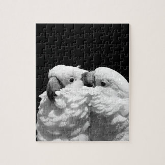 Paare Regenschirm Cockatoos