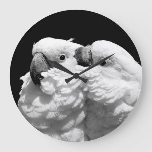 Paare Regenschirm Cockatoos Große Wanduhr
