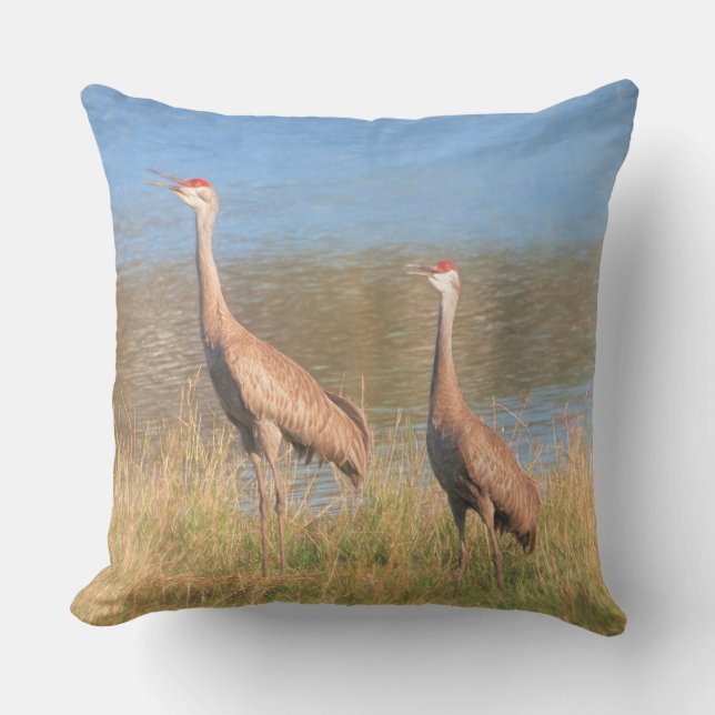 Paare Sandhill Kräne Kissen (Vorderseite)