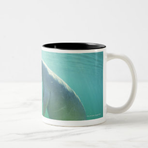 Paare schwimmende Florida-Manatis Zweifarbige Tasse