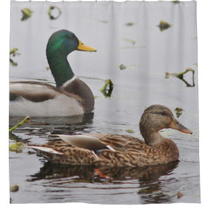 Paare Stockenten-Enten Duschvorhang
