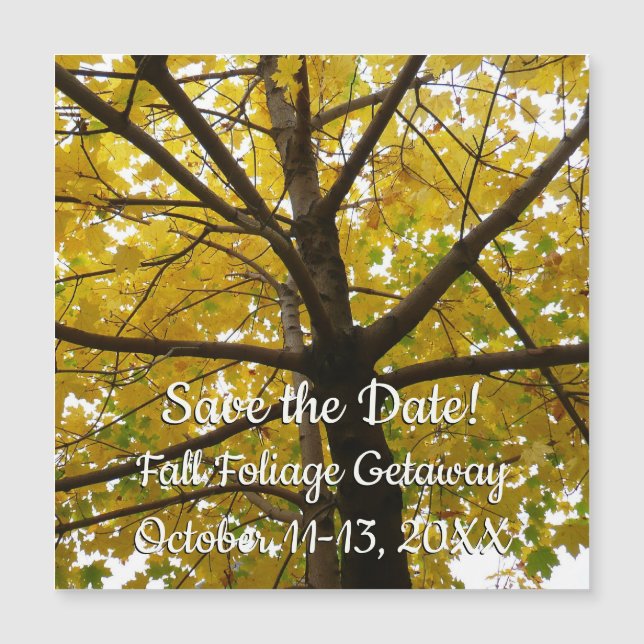 Paare von Gelbapfelbäumen Save the Date Herbst Magnetkarte (Vorderseite)