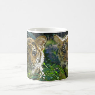 Paare von Tiger-CUB-Porträt Kaffeetasse