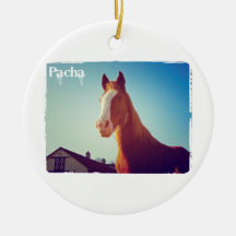 Pacha Deluxe Ausgaben-Tasse