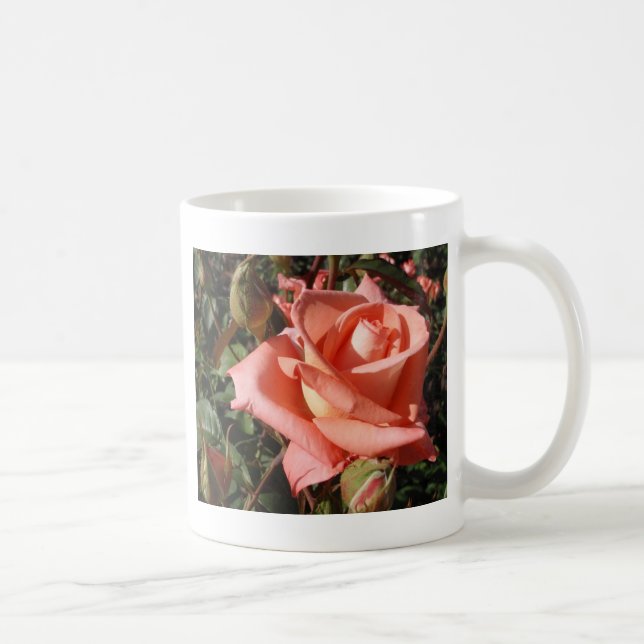 Pachy Rosa Rose Kaffeetasse (Rechts)