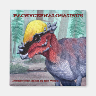 Pachycephalosaurus Magnet