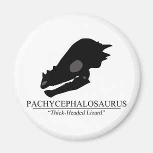 Pachycephalosaurus Skull Magnet